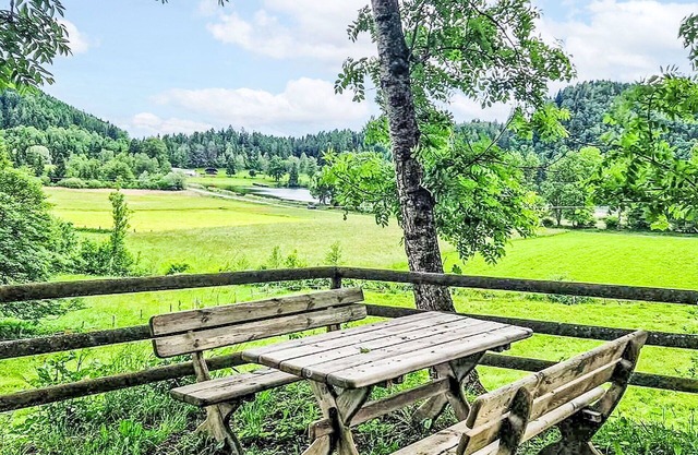 Lovely apartment for 6 people with WIFI, terrace, panoramic view and parking