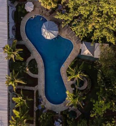 Lovely Condo near monkey habitat and beach