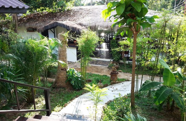 Lucky Gecko Garden