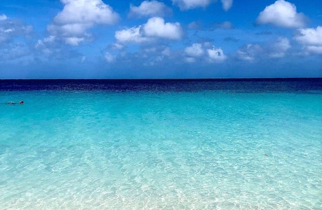 Aruba Breeze 
