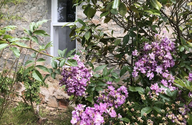 LUXURIOUS Gorgeous Cottage - In the Heart of Adelaide Hills