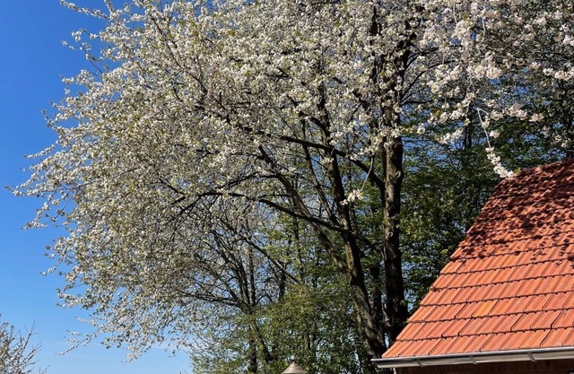 Luxury in the countryside (4p) in private accommodation