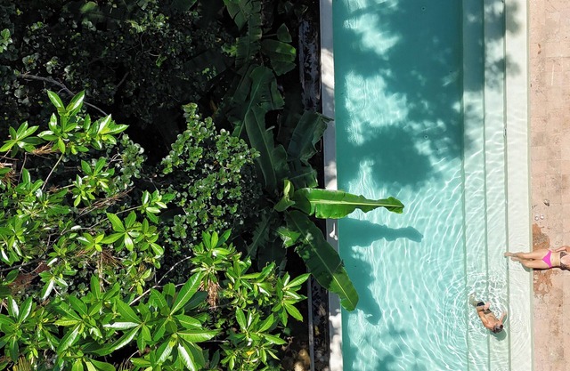 Luxury Jungle Villa: Infinity Pool + Yoga Shala + Gym