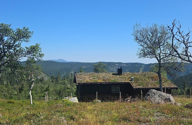 Magic View | Unspoiled nature | Summer mountain pasture with goats