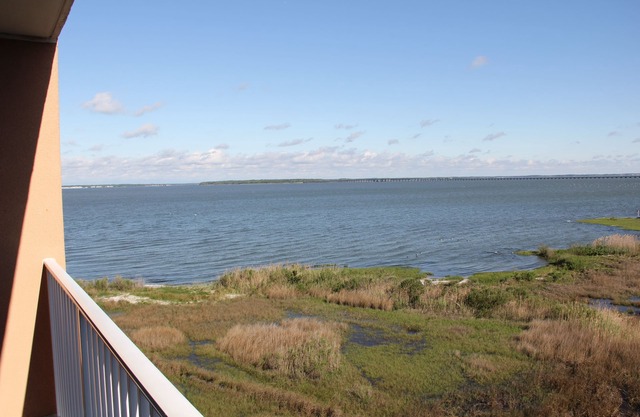 Magnificent Bay View! Luxurious Condo, Your Home-Away-From-Home