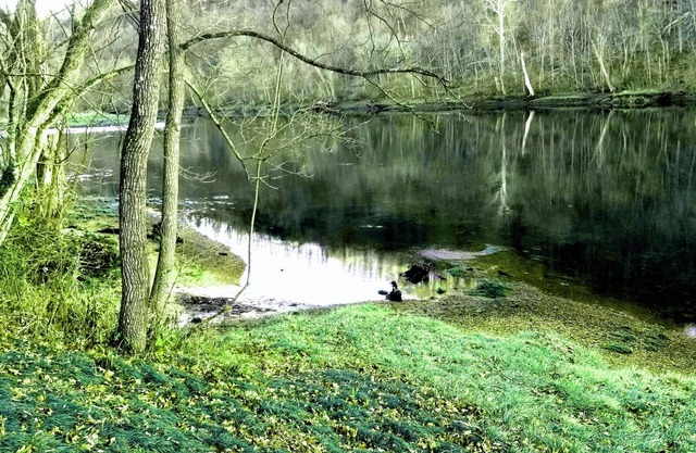 Magnolia #1 @ Copper Johns Resort