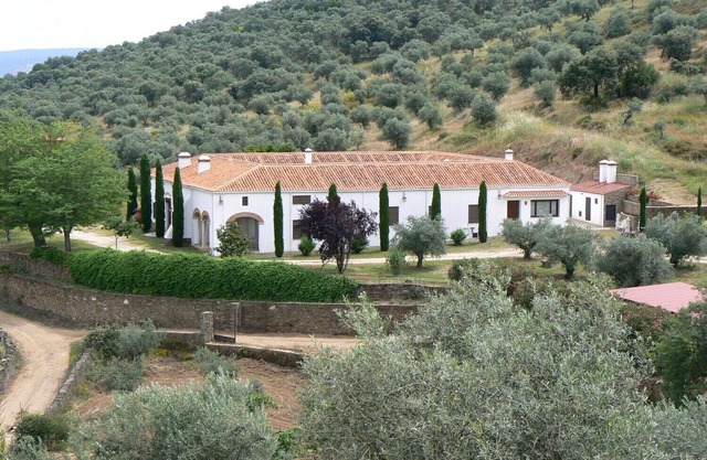 Manor house among cypresses and olive trees