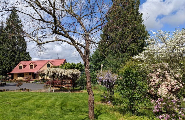 MapleRidge House ~ A BnB for All Seasons!n ~ A LICENSE TO CHILL ~