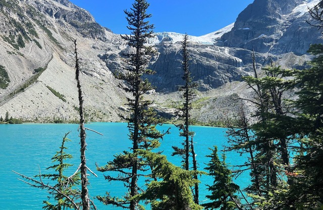 Marvelous condo with WiFi in Pemberton