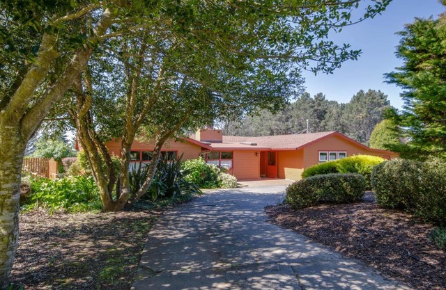 Mendocino Dream