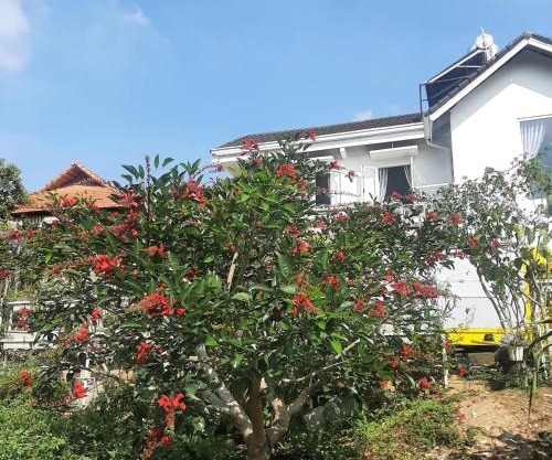 MIA Villa Đà Lạt