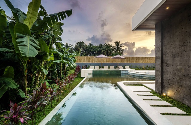 Modern 3-bedroom villa with pool between rice paddies and jungle