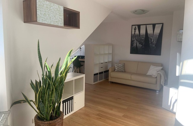 Modern 50 sqm apartment with living room, bedroom and balcony
