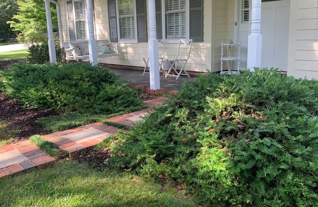 Modern & Bright 3-bedroom house in Greenville between airport & downtown w/WiFi