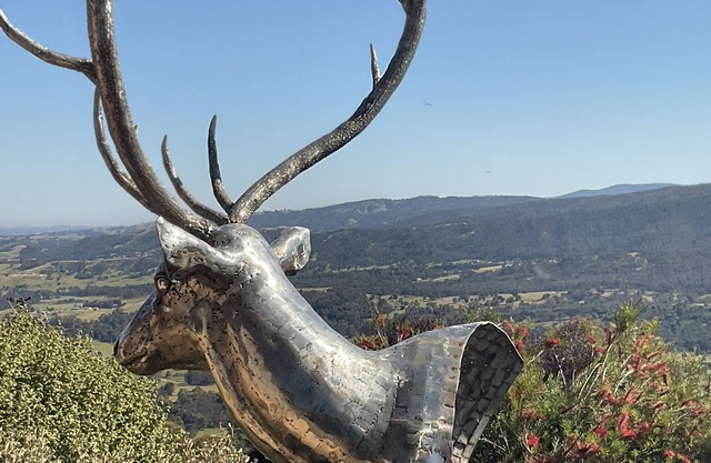 Modern farm house that has the the most incredible views only 1hr from Melbourne