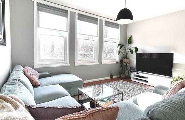 Modern Spacious Apartment across from City Park and the monkeys + free parking!