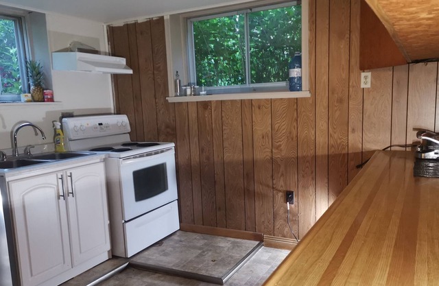 Modern Stylish One-Bedroom Apartment Near Lake: 60 Minutes from Toronto