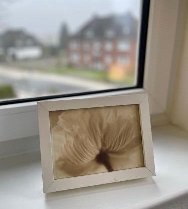 Moderne Monteurswohnungen in zentraler Lage in Bad Bramstedt