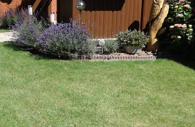 Moin and welcome, we offer our ground floor apartment!