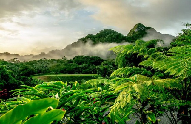 Monte Sagrado Reserve-100 acres+wellness+River!