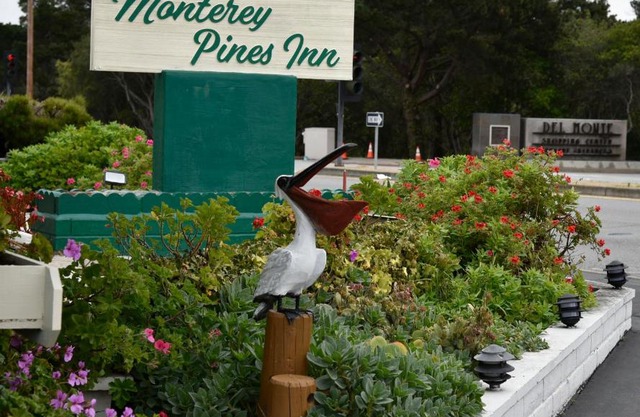 Monterey Pines Inn