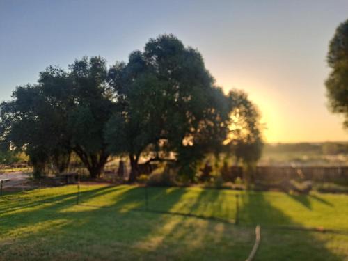 Mount Gerizim Farm