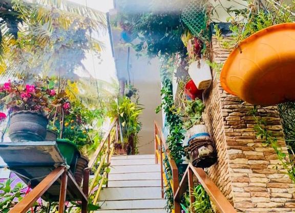 Mountain View Homestay