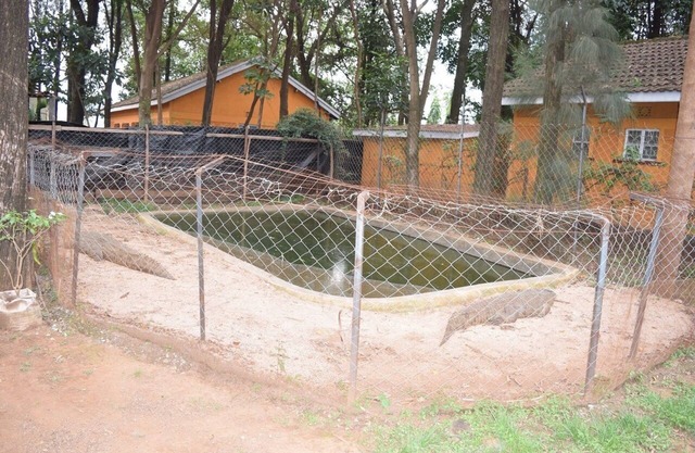 Mountainview Backpackers Kisumu. Live like a local. - Budget Hotel