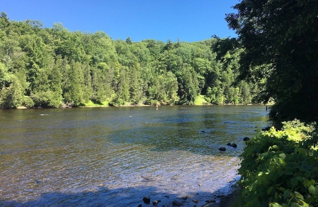 Muskegon River Front Cabin