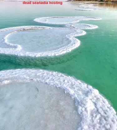 Nadia Hosting Dead Sea