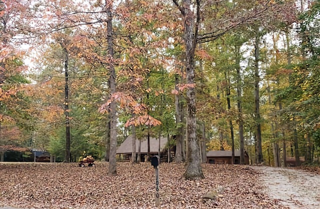 Nature Lovers Paradise- Rustic Cabin on 2 acres with a creek!