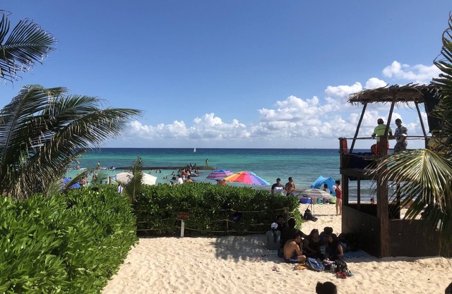 Near Beach, PENTHOUSE, WIFI, Bikes, Private Rooftop with PALAPA, 3BR 3BA
