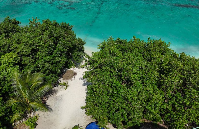Nest by Hawks Hotels Kamadhoo Baa Atoll