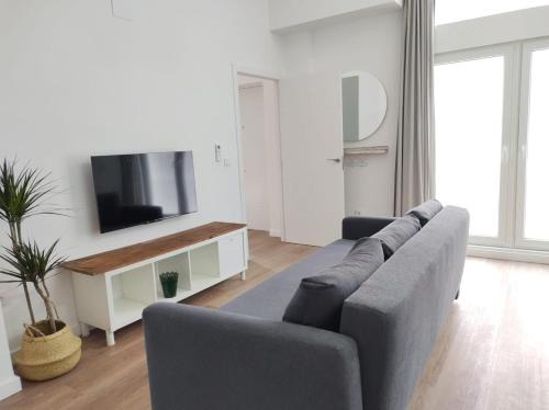 New Apartment Plaza del Cedro