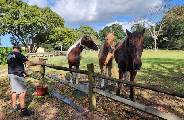 New luxury Tiny House(s) on 6 acres with horses. Sunsets,fire pit, & Hot tub.