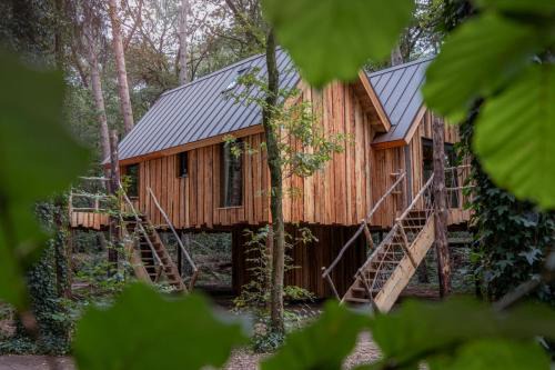 New Unique Treehouses with hot tub in Oisterwijk