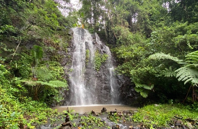 Nimbin Waterfall Retreat