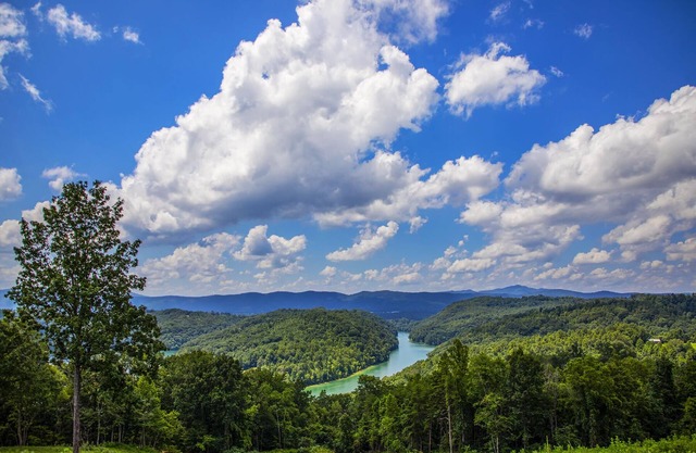 Norris Lake Barn Loft Apt 1 Lakeview's & 1 mi Access to public boat ramp