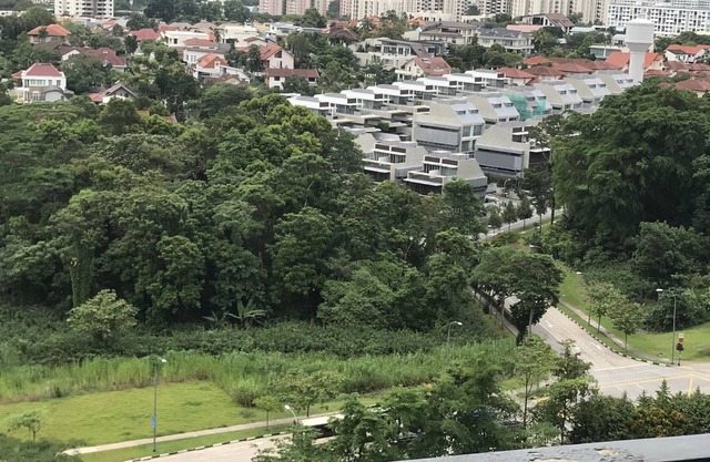 not so new condo