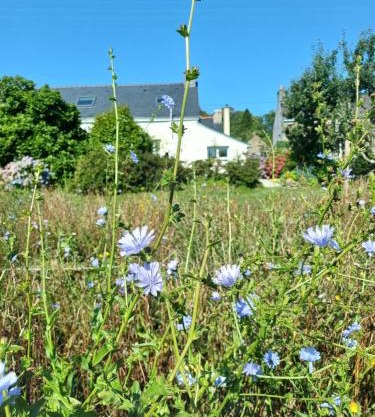 O'TY'ZOISEAUX - Plus proche de la nature - Meublé tourisme classé 4 étoiles