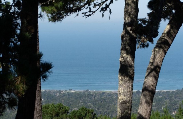Ocean Pines #50 - Pebble Beach Condo - Oceanview, Top Floor with Elevator