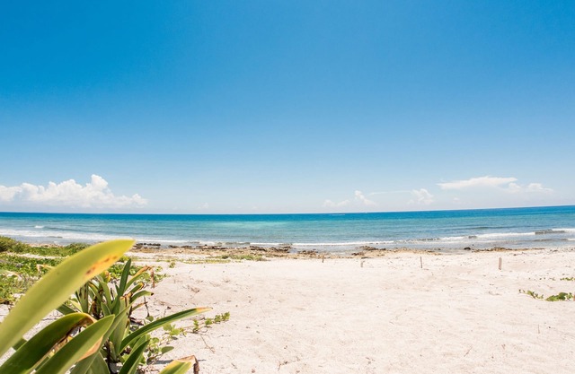 ocean view 6 BB villa in Tulum. sleeps 17!
