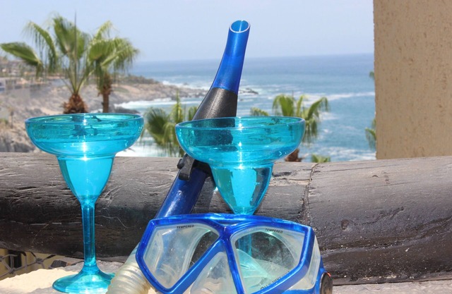 Ocean View!Swim up pool bar. Walk to Private swimmable beachnElevator, renovated