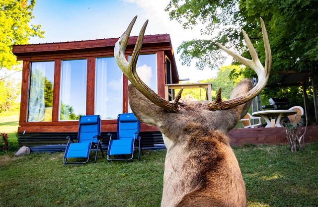 Off-Grid, Buck Tiny House with Indoor Soaking Tub & Mountain Top Views