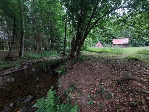 Off-Grid Cottage near river and forest!