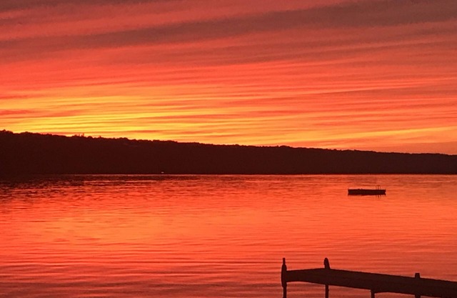 ON LAKE! Peaceful Private Level Beach, Pet Friendly,Stream,Dock,Woods,Rowboat!