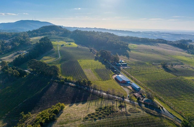 Panoramic Views on Pinnacle - 3 Bedroom Farm Stay
