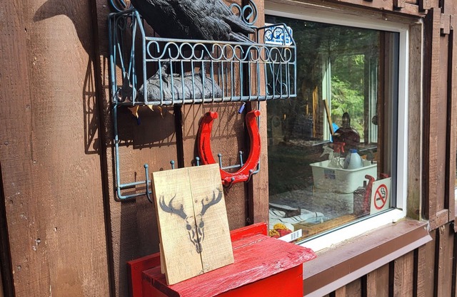 Peaceful Cabin in the Woods near lake, wildlife. Hike, swim, fish and boat.