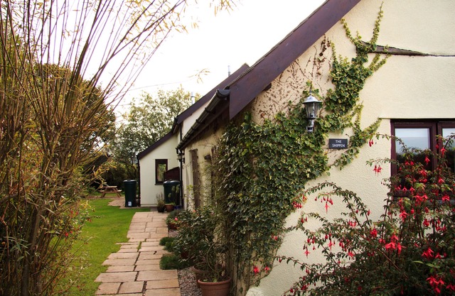 Peaceful Cottage in Rural North Devon, near the Ocean