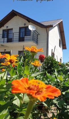 PENSIUNEA AGROTURISTICĂ ANGHELIKI